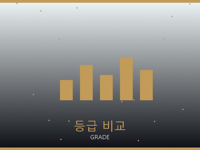 온러닝 레플리카 사이트 등급 기준 비교